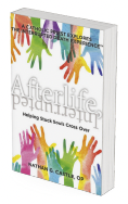Afterlife Interrupted Book